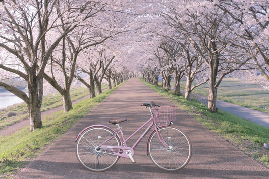 桜のシーズンはこれから!自転車で行きたいお花見スポットは・・・?