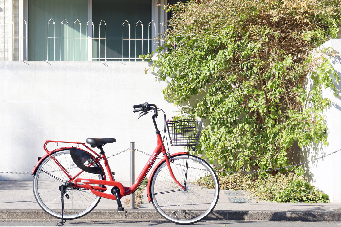 「健康的で楽しい自転車生活」フリーパワー搭載車 サラダから newモデル 登場！
