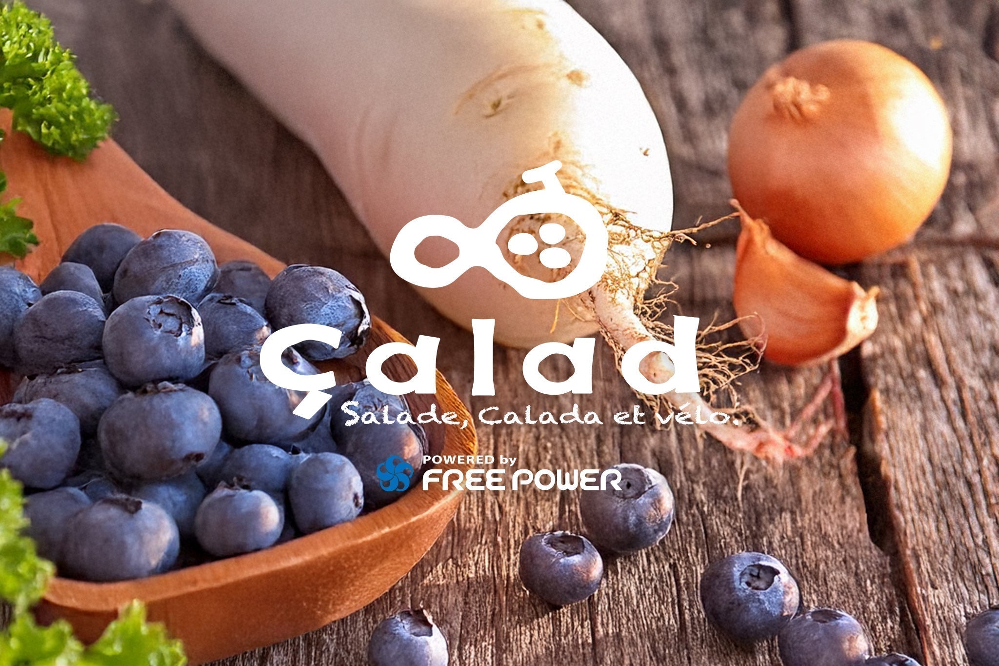 フリーパワー搭載！人気No.1シリーズから待望の”NEW”モデルが登場