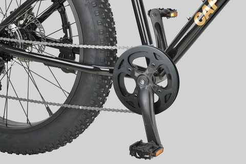 FATBIKE 268