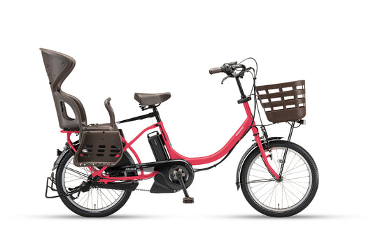 Assista C STD（CC0C31）