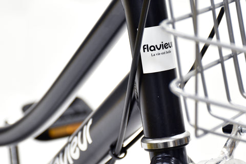 flavieur