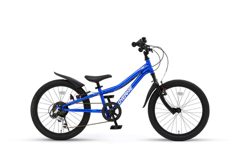 d-bike OVERAXEL LITE 20