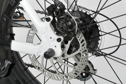 FATBIKE 268