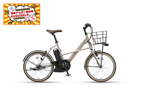 RealStream Mini（RS2C31）