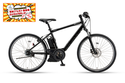 REALSTREAM（RS6C41）