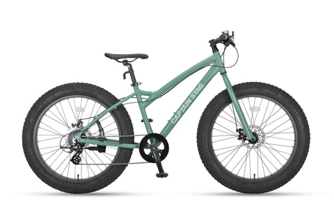 FATBIKE 268