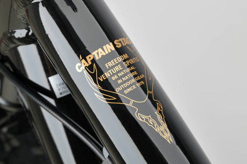 FATBIKE 268