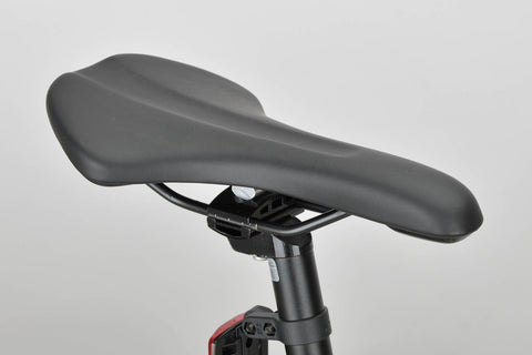 FATBIKE 268