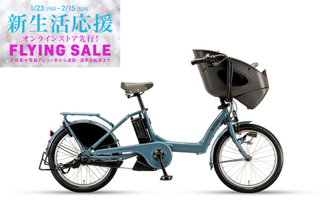 bikke POLAR e（BP0C44）