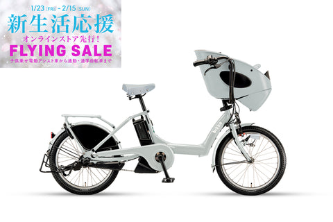 bikke POLAR e（BP0C44）