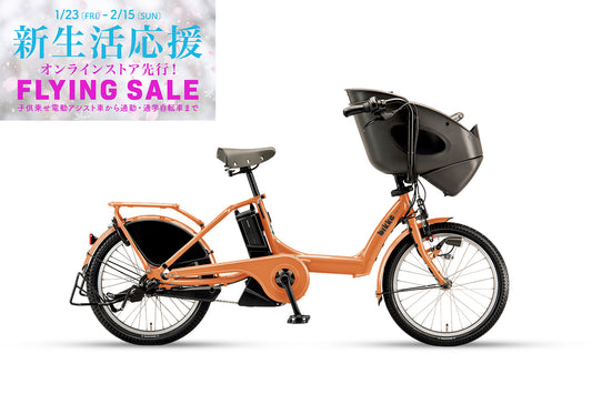 bikke POLAR e（BP0C44）