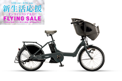 bikke POLAR e（BP0C44）