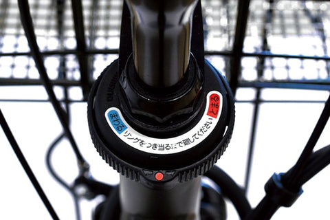 STEPCRUZ e（ST6B45）